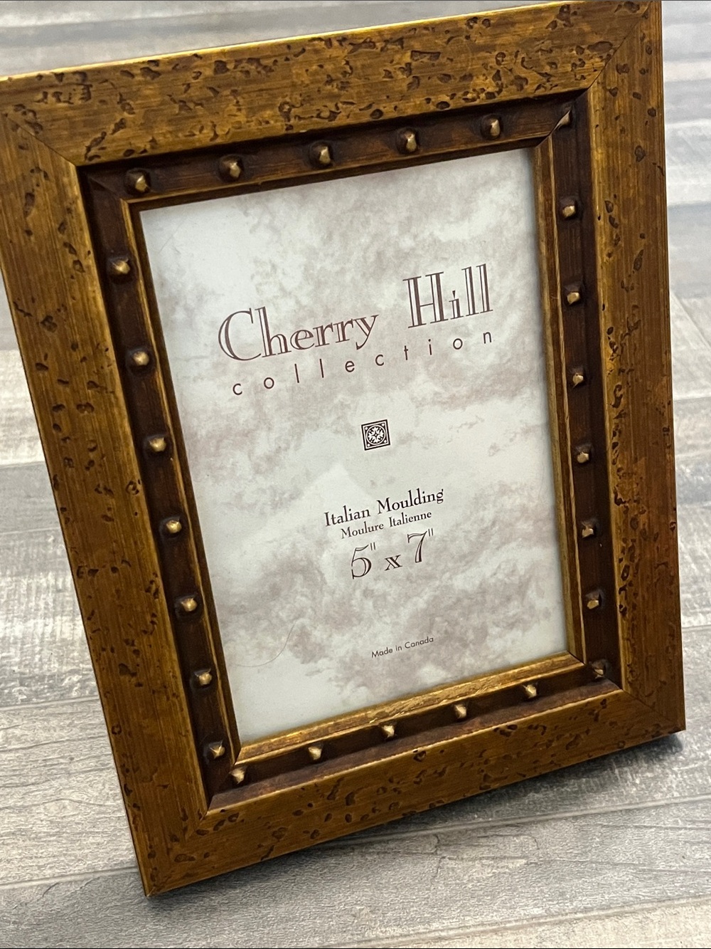 Gold Stud Accent Picture Frame - 5x7